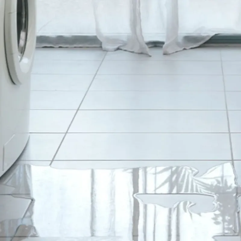 Appliance Leak Cleanup in Longbranch, WA