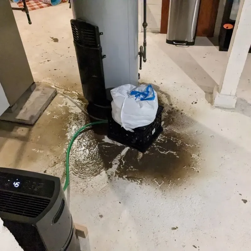 Sewage Backup Cleanup Service in Longbranch, WA